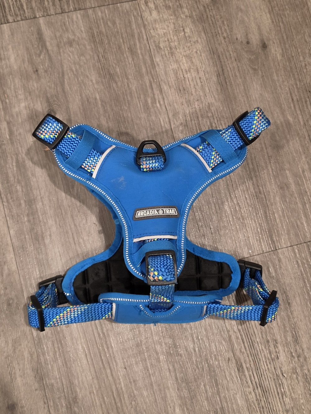 Arcadia Trail Blue Padded Dog Harness with Multicolor Webbing